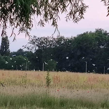 Dans Longere En Campagne